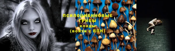 спайс Весьегонск