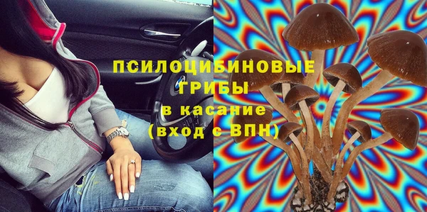 стаф Покачи